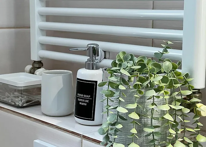 View - Luxury - Sanador Victoriei *